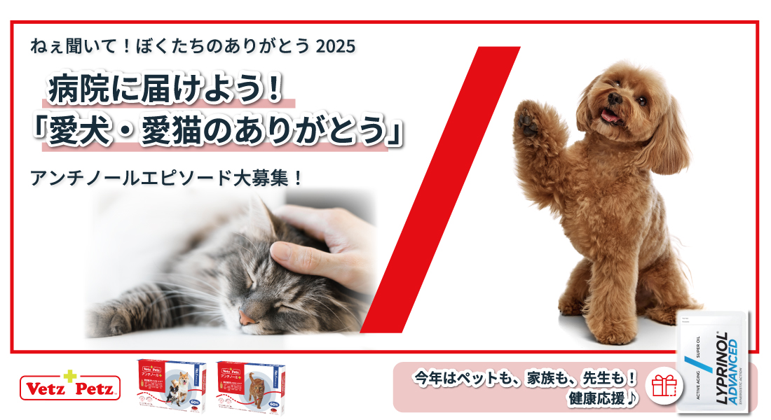 メイン